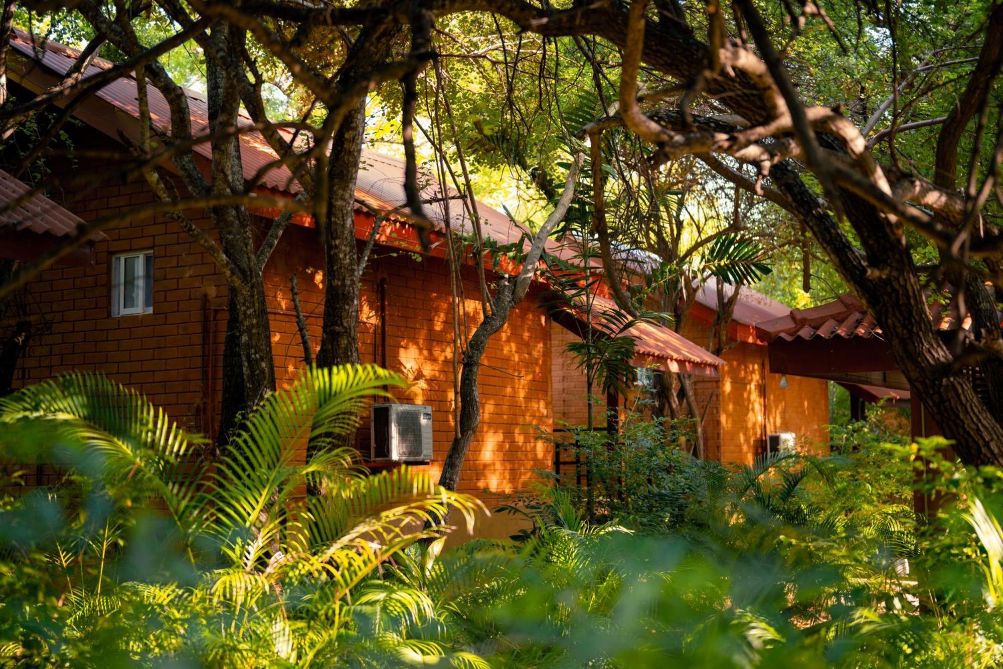 Safari Lodge Yala Катарагама Экстерьер фото