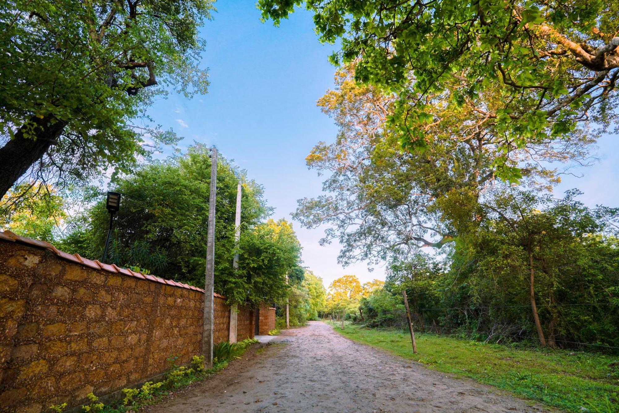 Safari Lodge Yala Катарагама Экстерьер фото