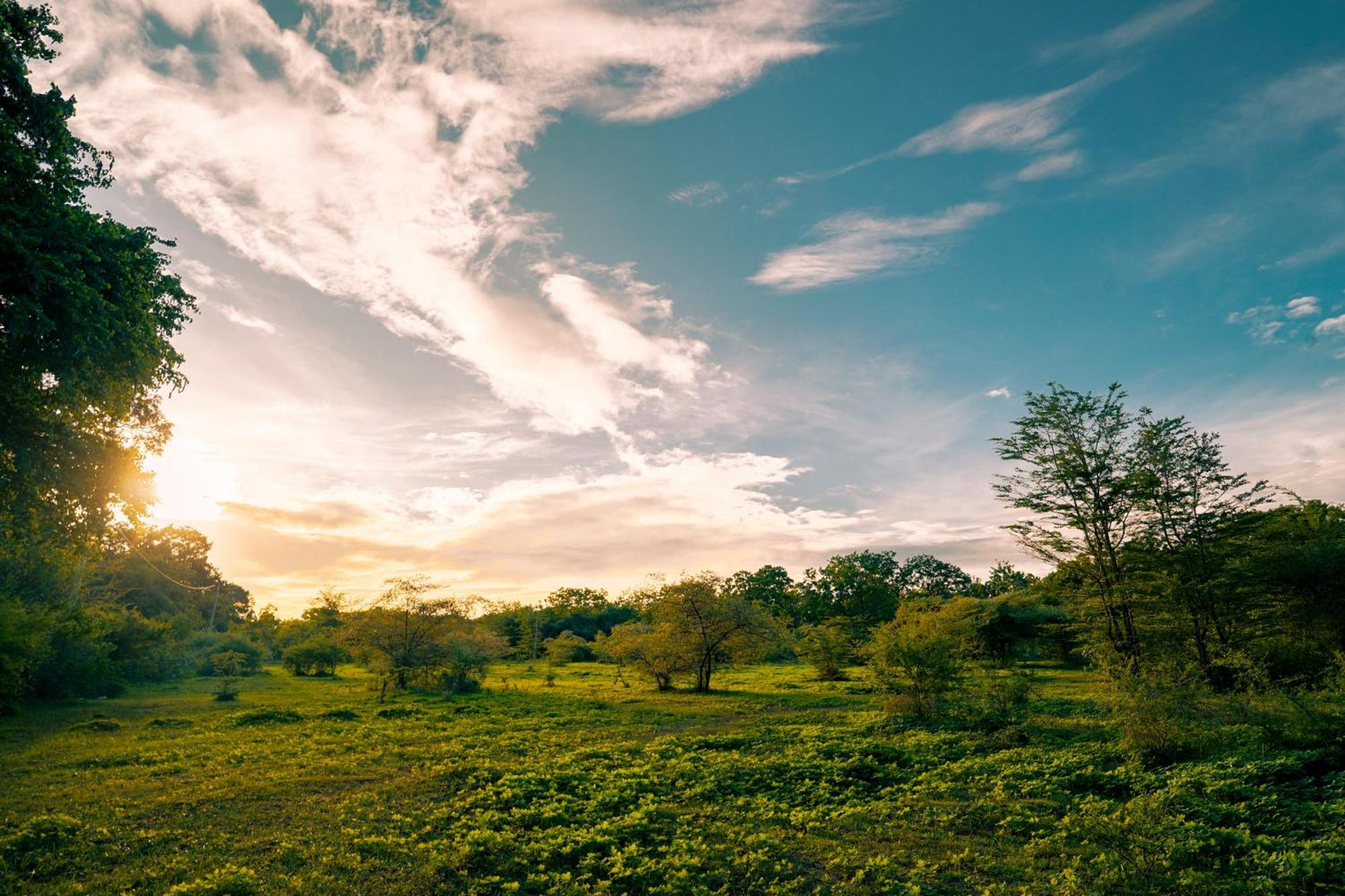 Safari Lodge Yala Катарагама Экстерьер фото