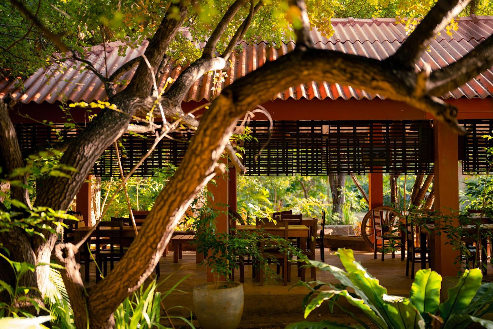 Safari Lodge Yala Катарагама Экстерьер фото